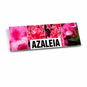 Https: Placas Placa Imobiliaria Psai 1mm 300x120mm