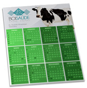 Calendários E Folhinhas 2026 Folhinha De Parede Supremo 255g Verniz Total Frente 270x343mm