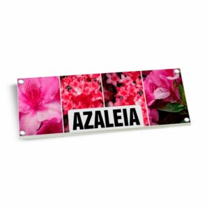 Placas Placas De Polionda Polionda 3mm 300x120mm