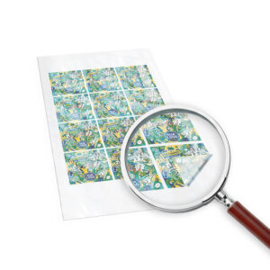 Produtos Da Copa Adesivos Folha 330x480mm Bopp Transparente Com Tinta Branca
