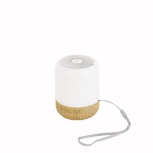 CAIXA DE SOM MULTIMÍDIA